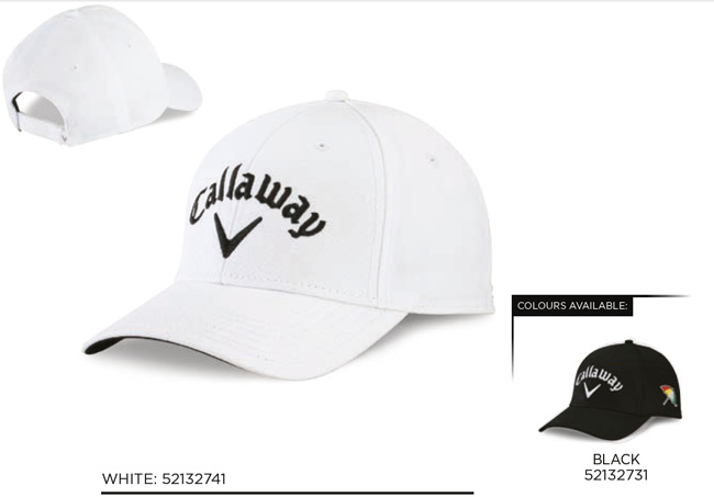 Corporate Cap - Front logo